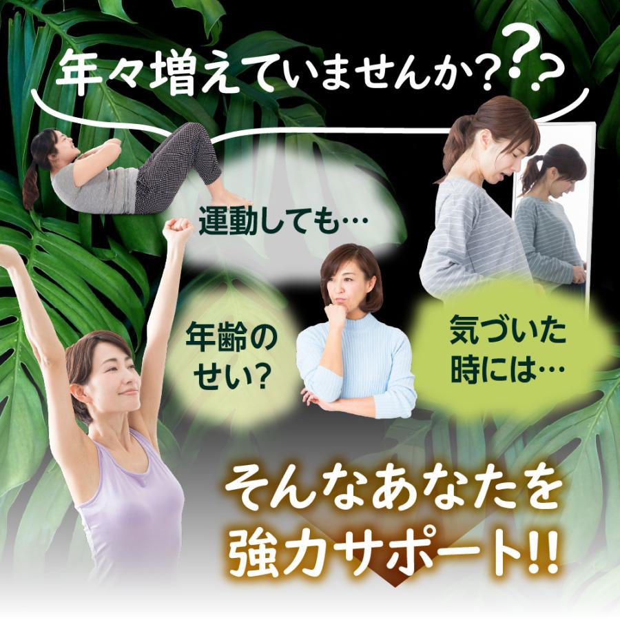 SALE 5%OFF 送料無料 ◇ finebase ネイチャーシェイプ15600 機能性関与