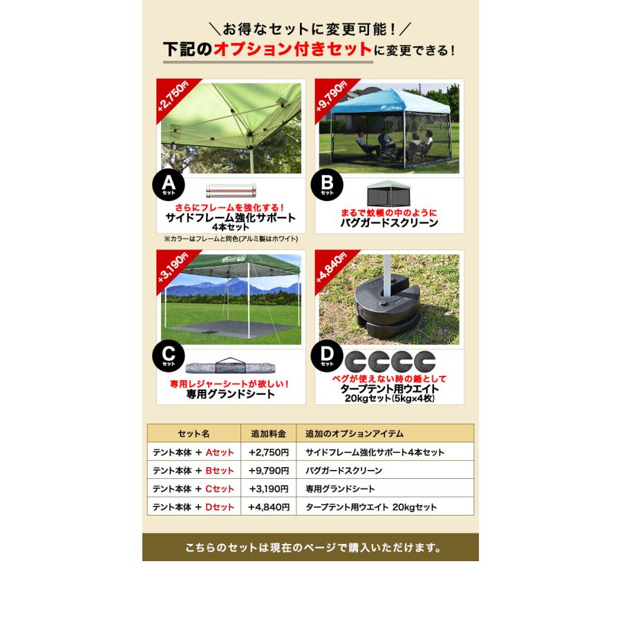 FIELDOOR（フィールドア） タープテント 3m ワンタッチ サイドシート1