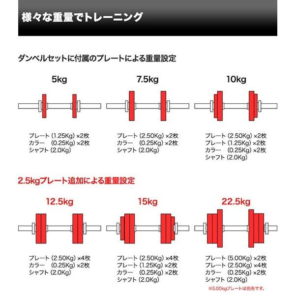 ダンベル バーベル 用 プレート 2.5kg 2個セット ブラックアイアン +