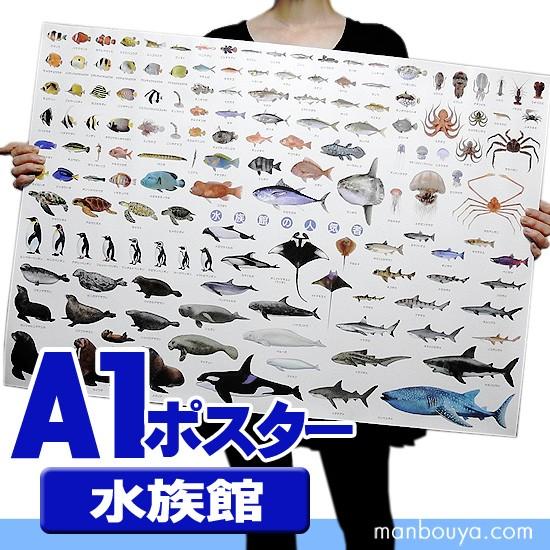 水族館グッズ アートポスター インテリア 特大 A1サイズ 図鑑タイプ