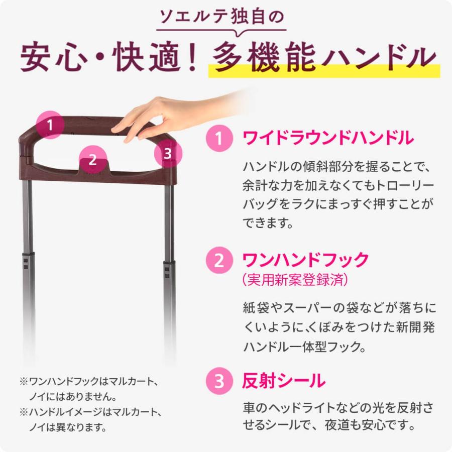 Ace（エース） ACE soelte ソエルテ アルディート 20リットルキャリー