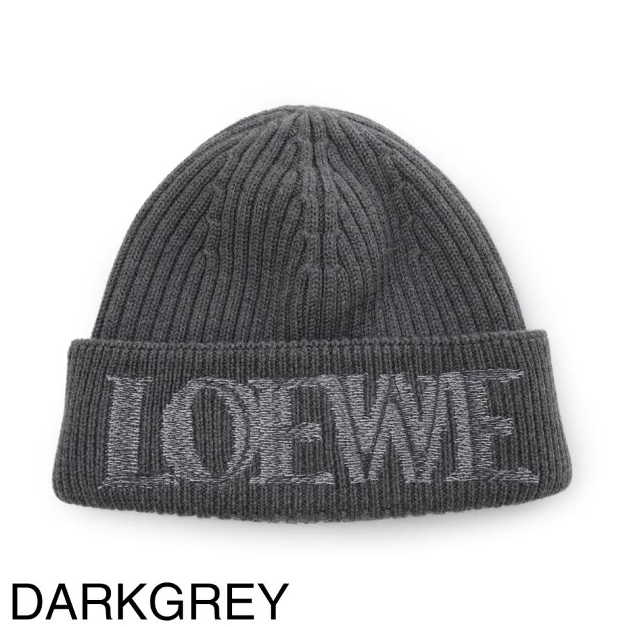LOEWE（ロエベ） ニットキャップ BLURRED LOEWE BEANIE ビーニー