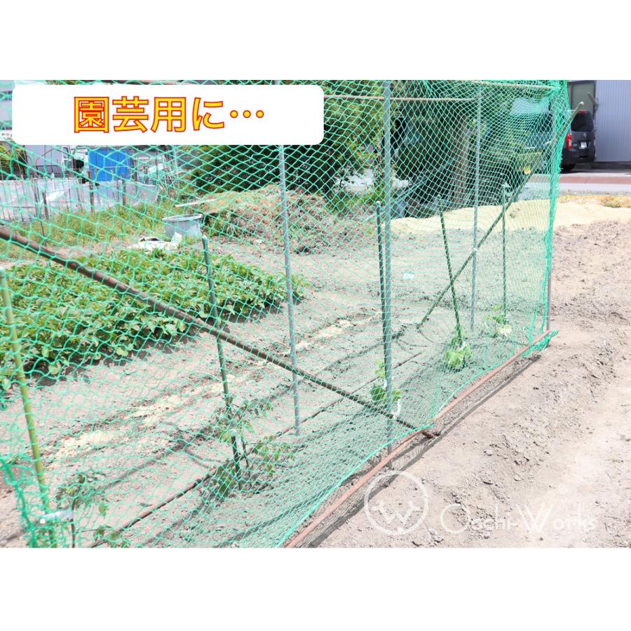 PE養生ネット 3m×5m ポリエチレン 25mm目 万能ネット 園芸ネット