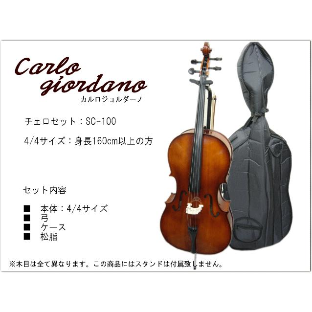 チェロ Carlo Giordano SC-300 チェロ Carlo Giordano SC-300 チェロ