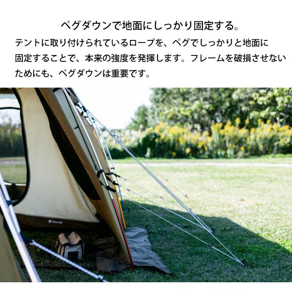 snow peak（スノーピーク） テント エントリー2ルームエルフィールド