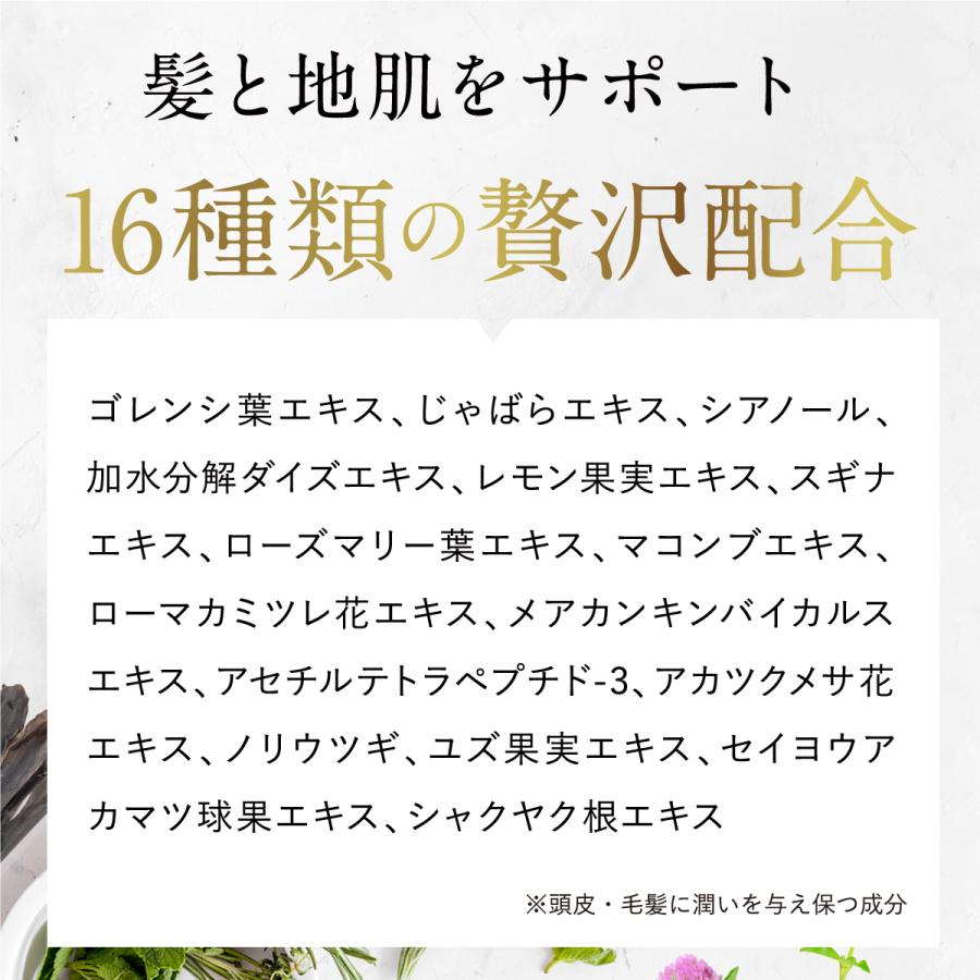 シャンプー ボトル【公式】ノ・アルフレ オールインワン アミノ酸 ノン