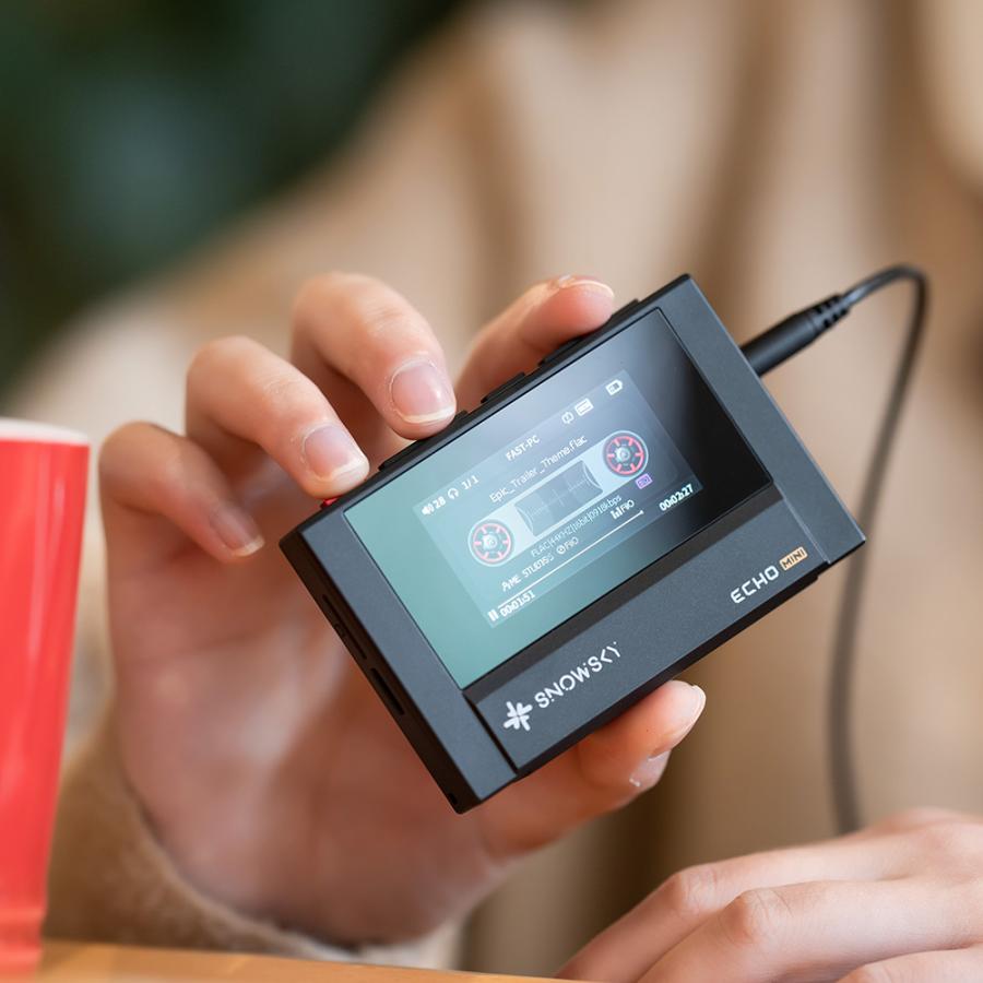 FIIO sky ECHO MINI 皮ケース付き DAP FIIO SKY ECHO MINI ブラック