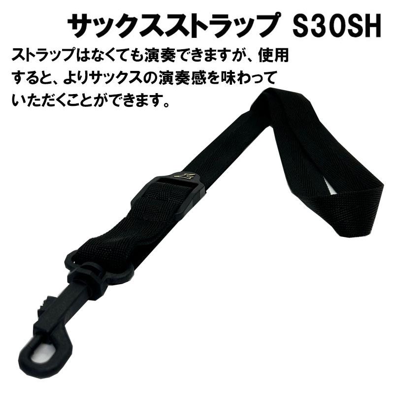 ちーくん】YDS-120 本体、付属品完備、ストラップ、充電式電池箱付き