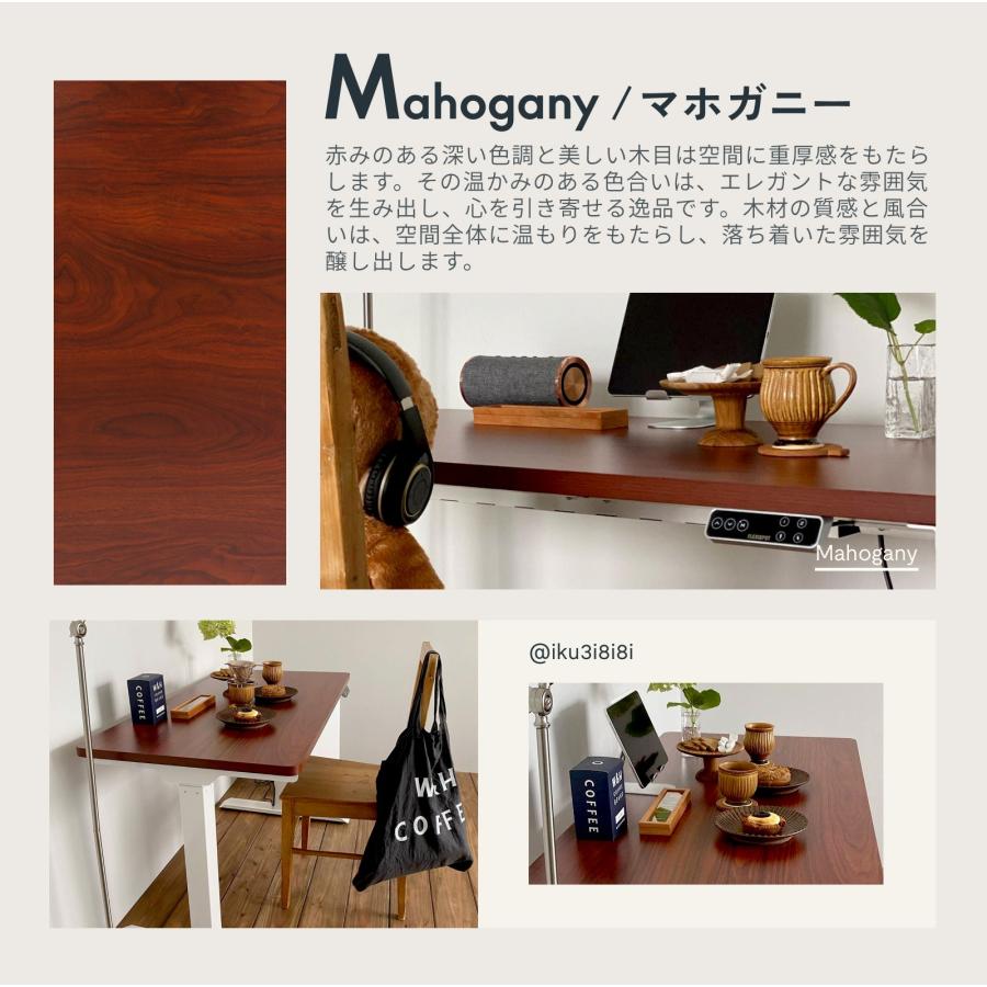 FlexiSpot テーブル 天板のみ 160 FlexiSpot 天板 昇降 デスク