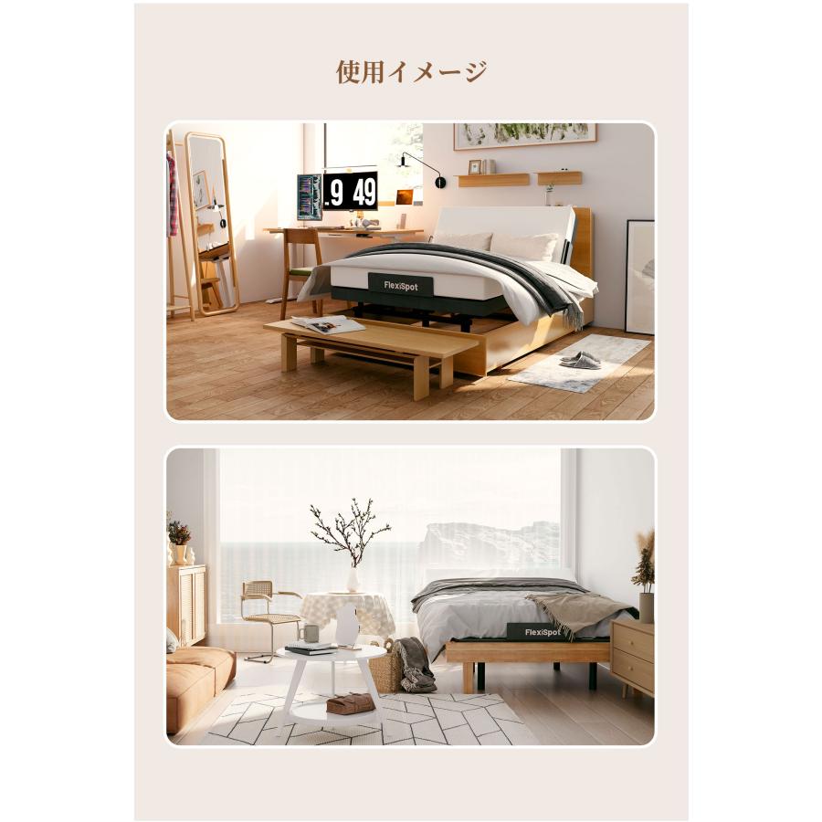 FlexiSpot 電動ベッド リクライニングベッド 電動 FlexiSpot S5 2