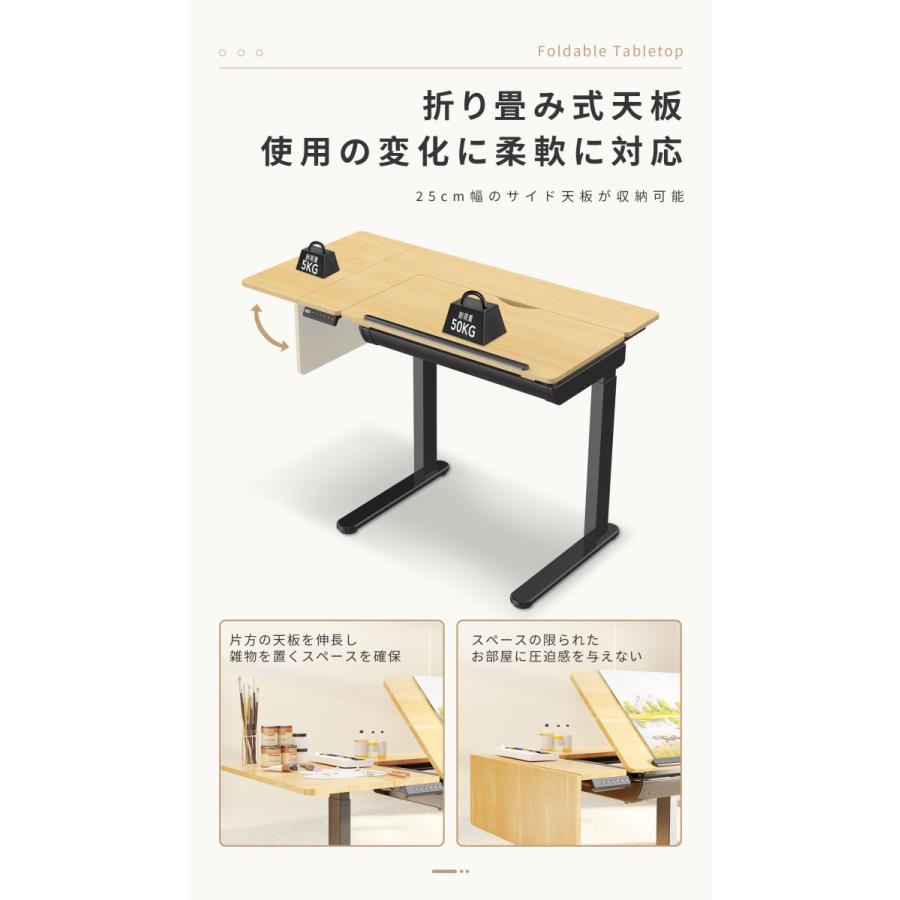 FlexiSpot 昇降デスク 天板角度調整 昇降テーブル FlexiSpot ED1B
