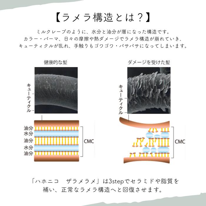 ハホニコ ブラックレーベル 3点セット ポンプ2個付 トリートメント