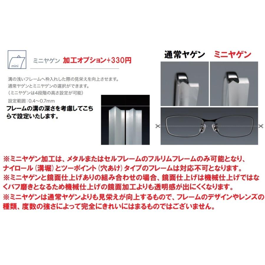 HOYA 東海光学 最高屈折率1.76 両面非球面 ベルーナ ZX-MU メガネ