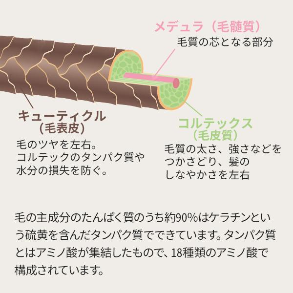7BEAUTY（7ビューティー） まつげ美容液 プラスワンK 10ml まつ毛