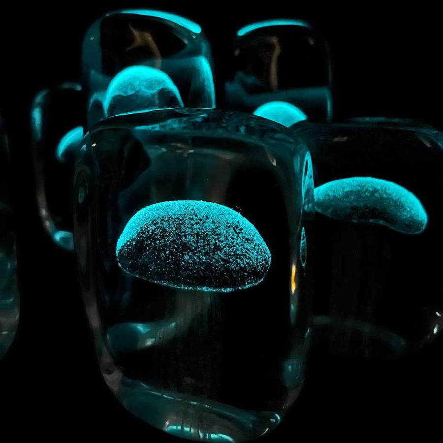 ガラス オブジェ クラゲ Jellyfish Paper Weight Square ペーパー