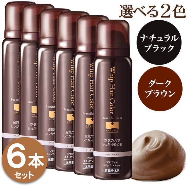 ソワニティー 白髪染め ホイップへアカラー 80g 6本セット 泡カラー