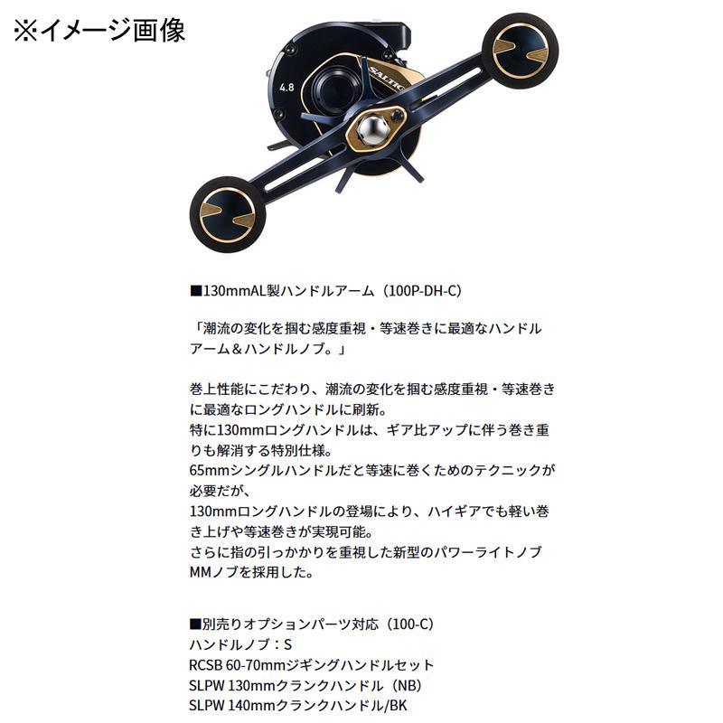 DAIWA（ダイワ） ベイトリール 25ソルティガ IC 100P-DH-C 右巻き 100P