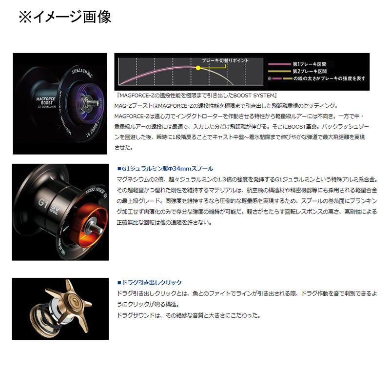 DAIWA（ダイワ） ベイトリール STEEZ AII TW 1000(スティーズA2TW) 右