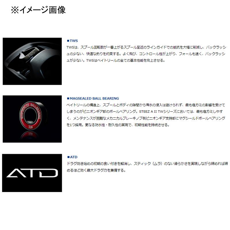 DAIWA（ダイワ） ベイトリール STEEZ AII TW 1000XHL(スティーズA2TW