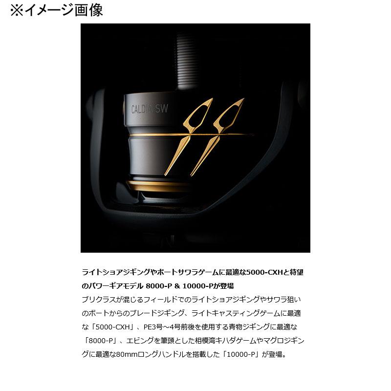 DAIWA（ダイワ） スピニングリール 22 CALDIA(カルディア) SW 8000-P