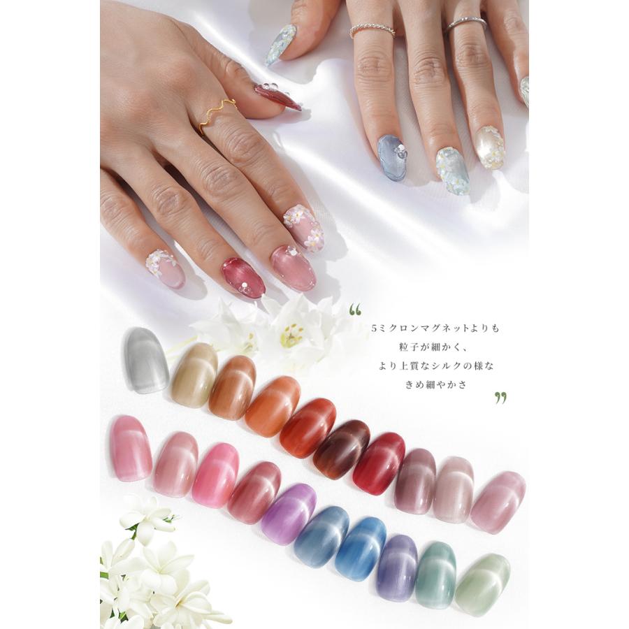 全20色セット 4ミクロン 超微粒 マグネットネイル 5ミクロンを超える