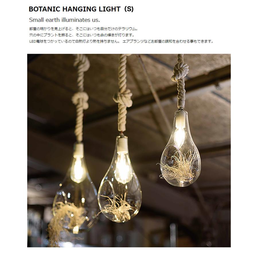 スワン電器 Another garden APE-022WH BOTANIC HANGING LIGHT