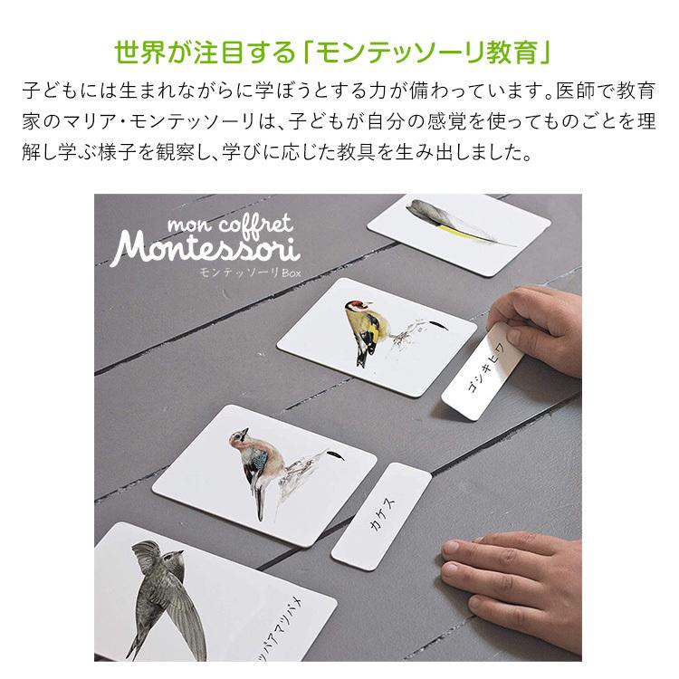 学研ステイフル 学研 モンテッソーリ BOX とり 鳥 教具 知育玩具 3歳 4