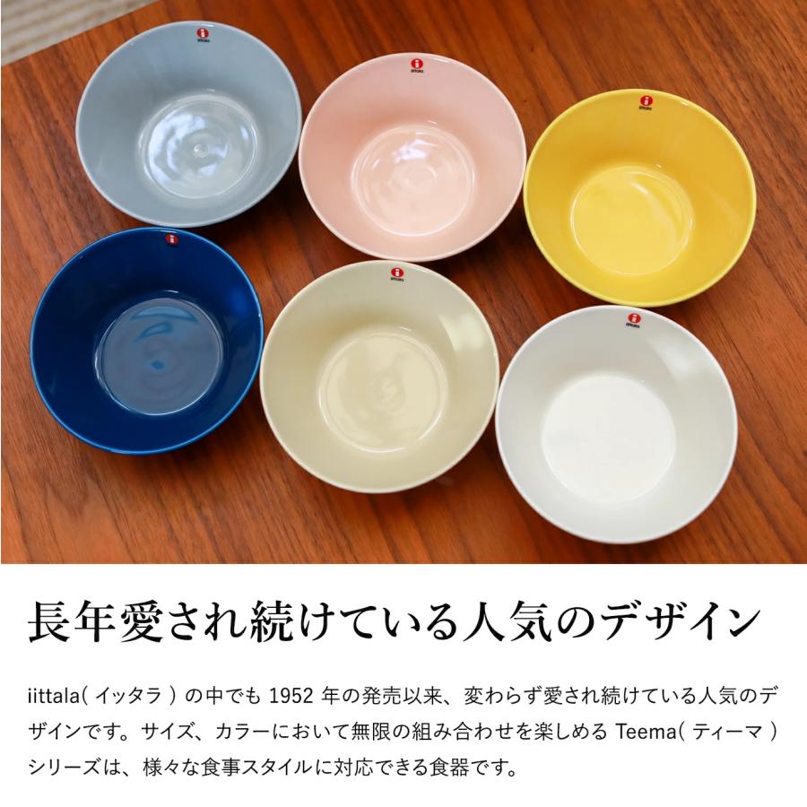 ティーマ Iittala Teema イッタラ ボウル 1枚 ホーム パーティ