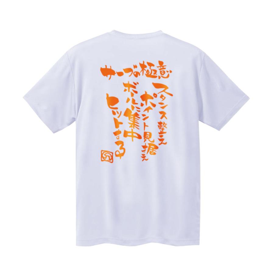 バレーボール ウェア 半袖 メンズ Tシャツ 「サーブの極意