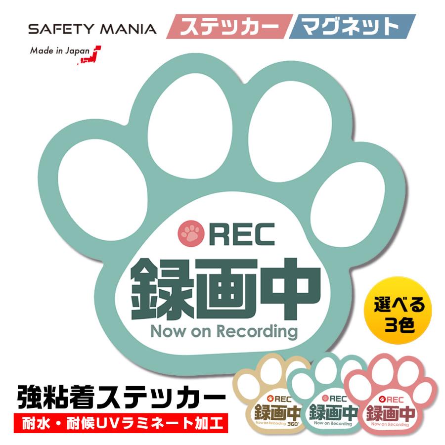 ドラレコ 録画中 ステッカー 肉球 シール ブルー 選べる3色 車 あおり