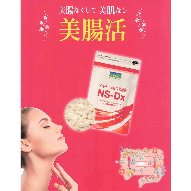 アルタイのNS乳酸菌「新NS-Dx」 : エスエーアイ アイストア - 通販