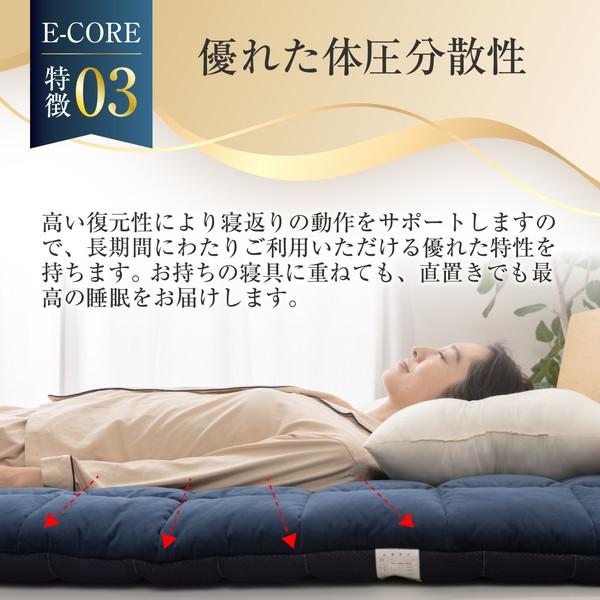 アクアスリープマットレス E-CORE 100×200cm ネイビー ダイコウ