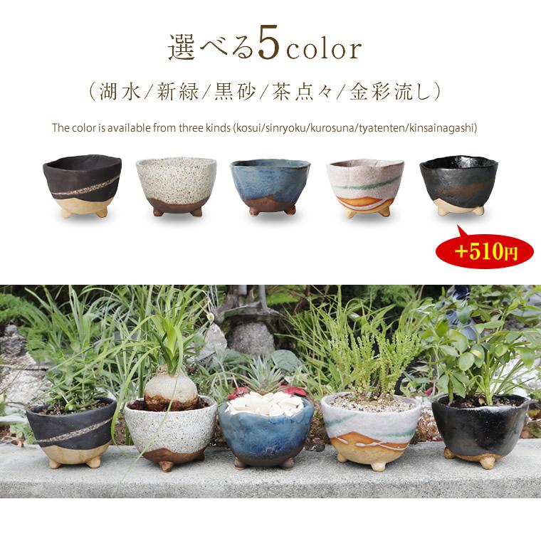 信楽焼 植木鉢 陶器 おしゃれ 山草鉢 フラワーポット サボテン鉢 多肉