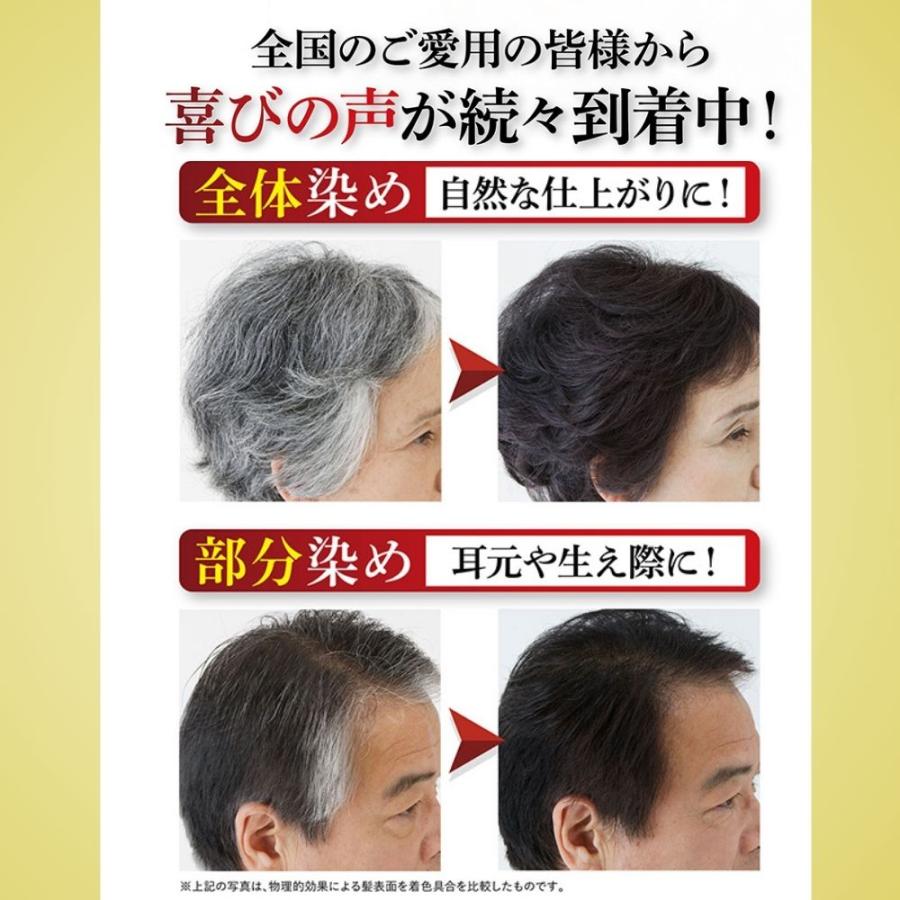 白髪染め ケンコー サンカラーマックス レディース ヘアカラー