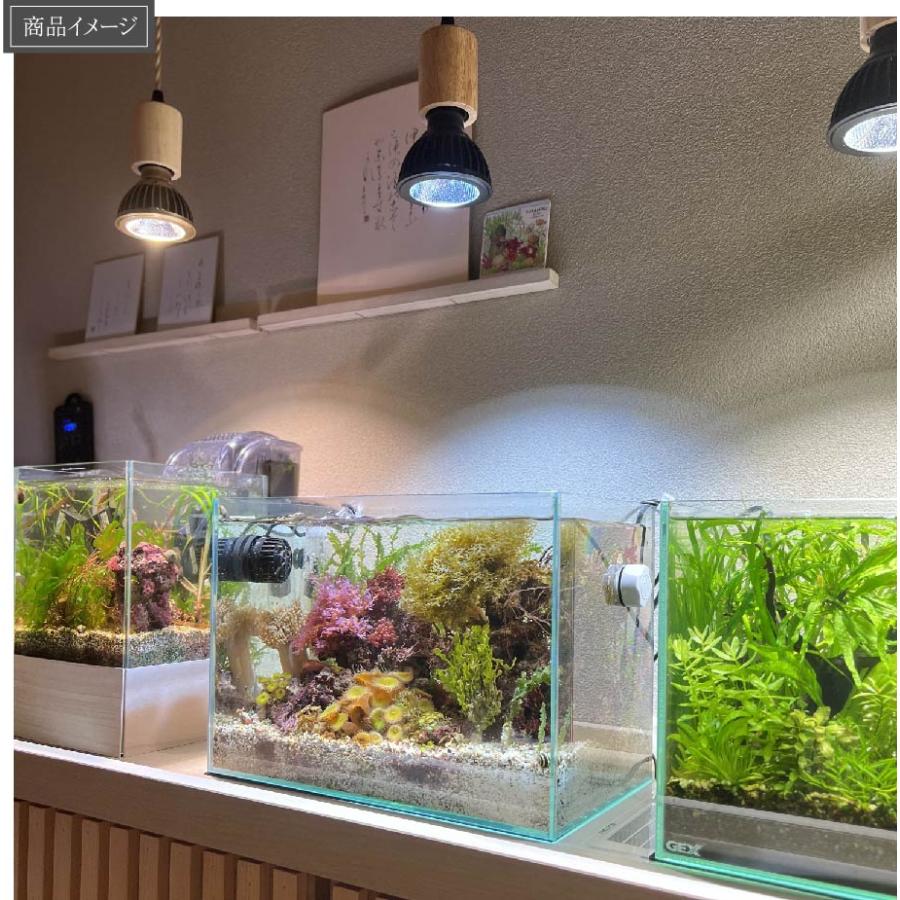 BARREL公式 【SUSANOO 10W】植物育成LED 太陽光LED アクアリウムLED