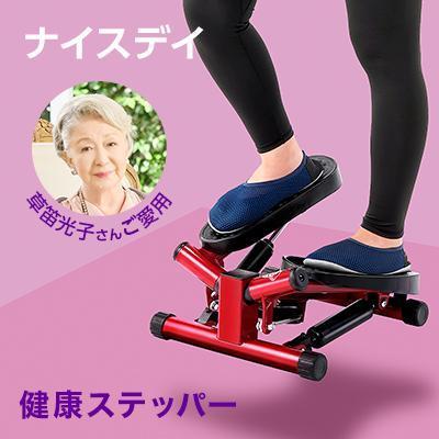 ショップジャパン（Shop Japan） 健康ステッパー ナイスデイ 正規品