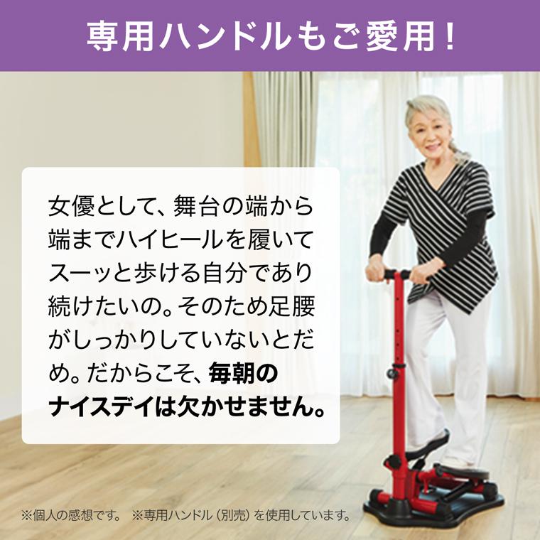 ショップジャパン（Shop Japan） 健康ステッパー ナイスデイ ハンドル