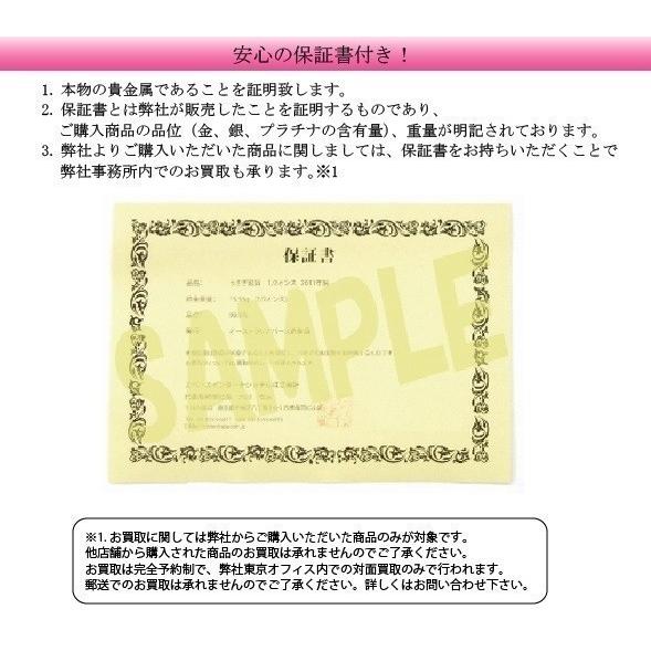 モルガンダラーのデザイン銀貨 1/2オンス クリアケース入り 純銀