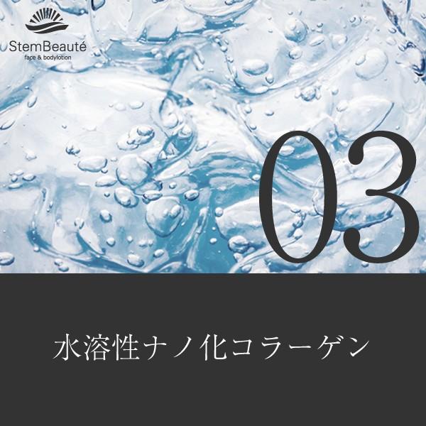 StemBeaute（ステムボーテ）face&bodylotion（フェイス アンド ボディ
