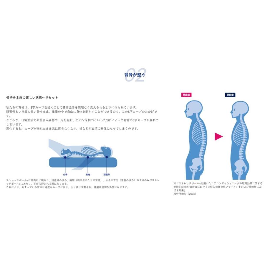 ストレッチポール（StretchPole） ストレッチポールEX(イエロー)株式