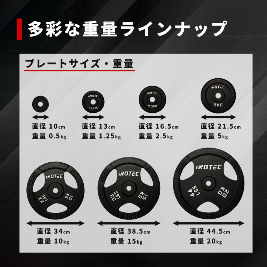 IROTEC（アイロテック） バーベル アイアンプレート 20KG [1枚] 穴径