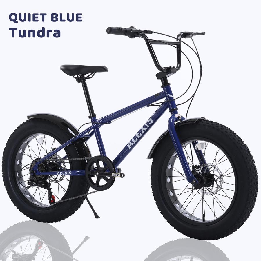 ACEXIS ファットバイク Fat City Cruiser BMX 自転車 シティ ビーチ