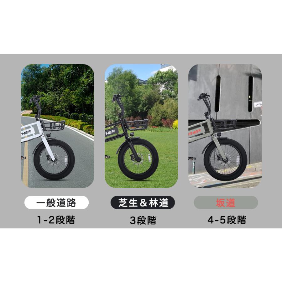 期間限定特価】PANTHER (パンサー) EROS-E 電動アシスト自転車 ペダル