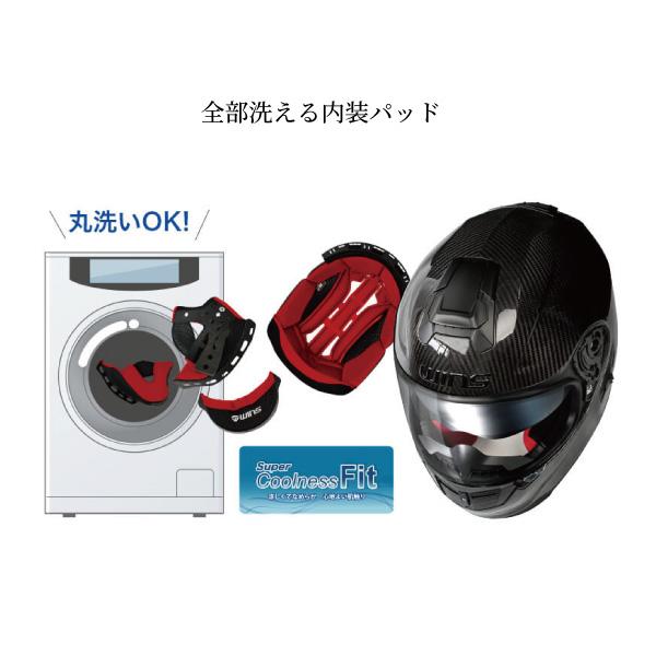 A-FORCE WINS RS FLASH タイプC カーボンxアイアンレッド インナー