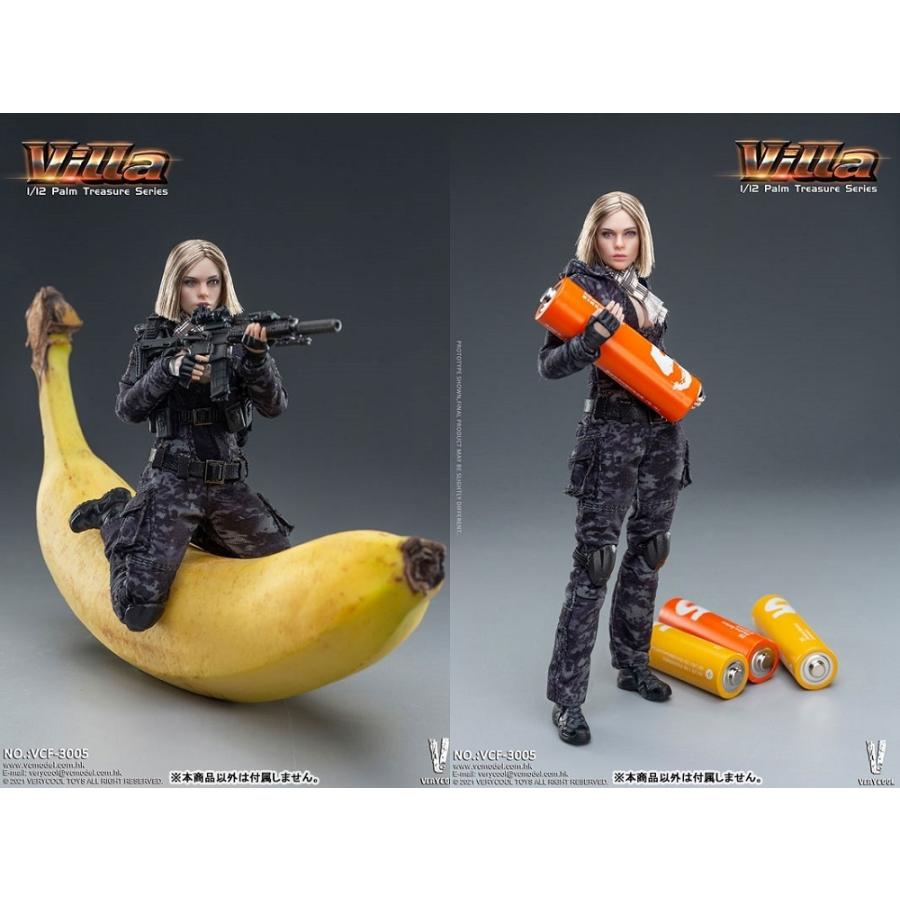 VERY COOL VCF-3005 1/12 PalmTreasureSeries Villa ヴィラ (黒迷彩) 1