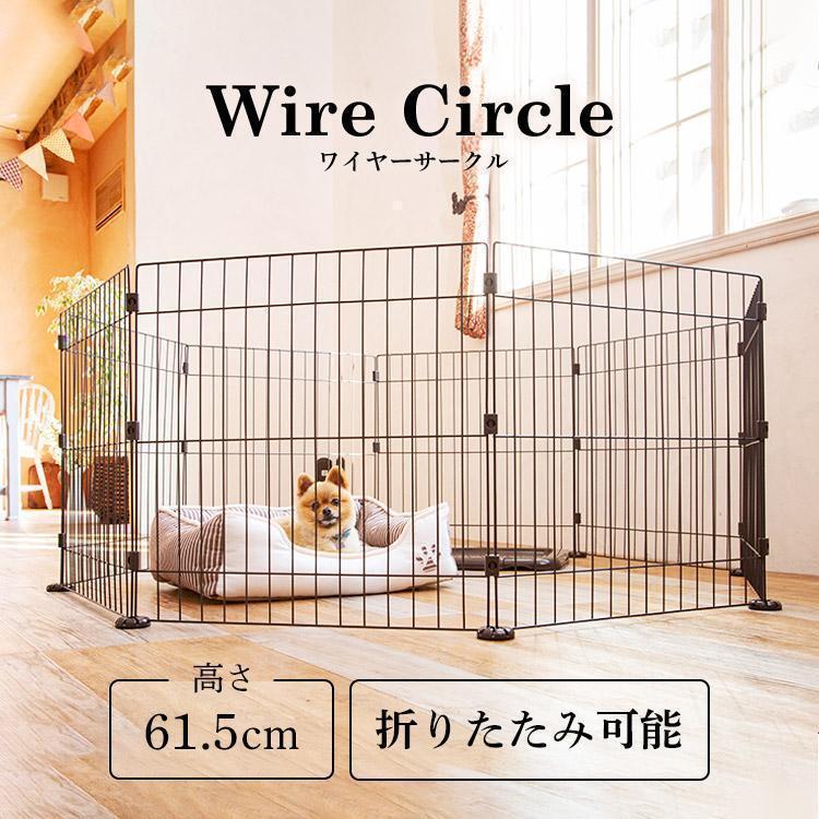 ➁ダブルヘッダーとゴーストワイヤーのセット ダブルヘッダーと