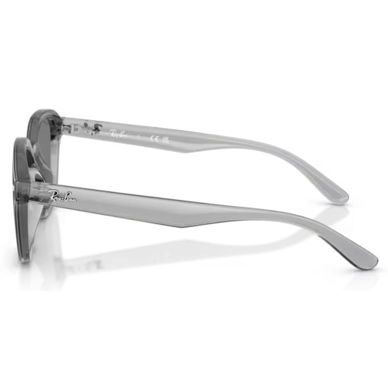 Ray-Ban（レイバン） 正規保証書(押印)付 Ray-Ban 4458D ( Low Bridge