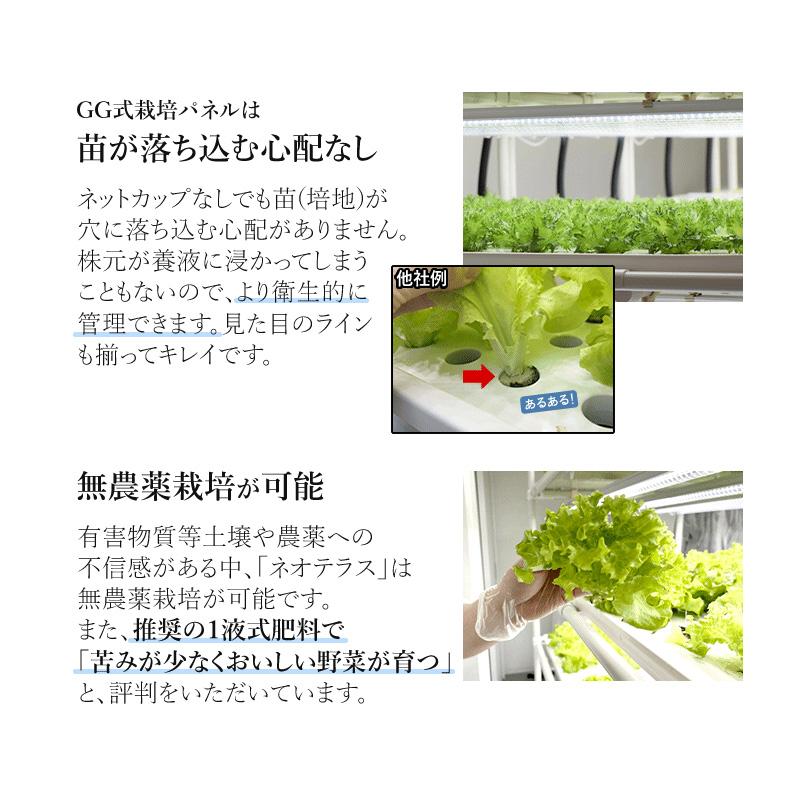 組み立てが楽！／ 水耕栽培キット ネオテラス LED一体型完全室内用栽培