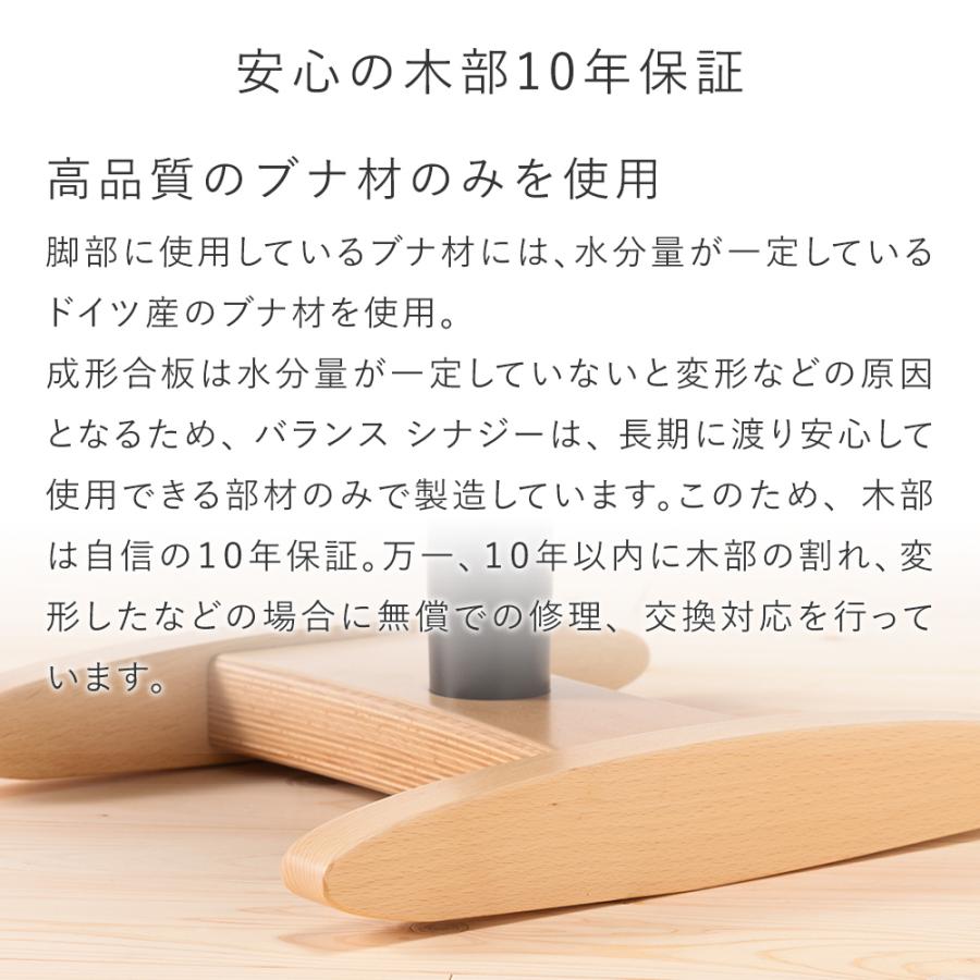 バランスラボ バランスチェア バランスシナジー オフィスチェア 腰痛