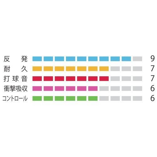 YONEX（ヨネックス） BG80 POWER BG80パワー BG80P 10張りセット
